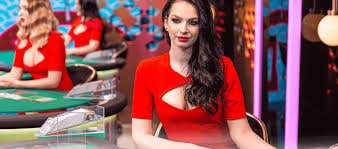 bet55